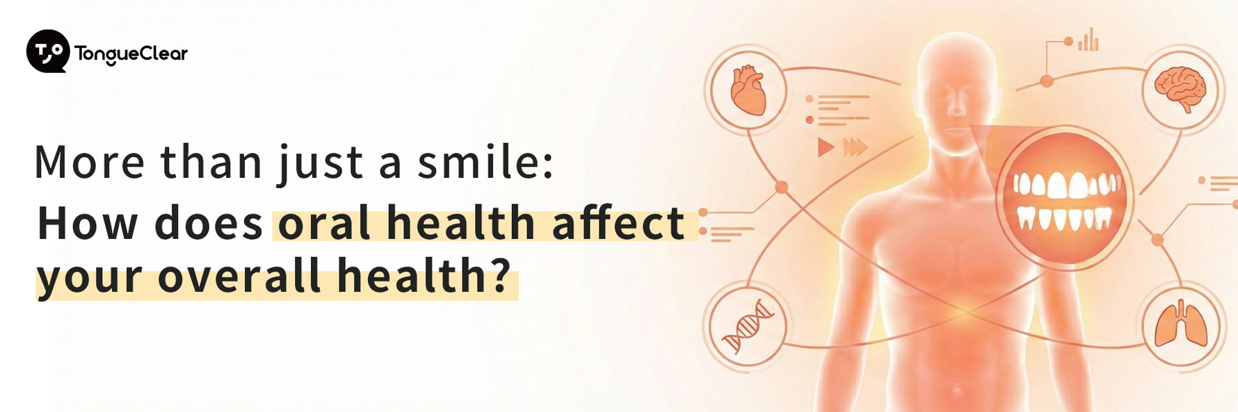 More than just a smile:  How does oral health affect  your overall health?