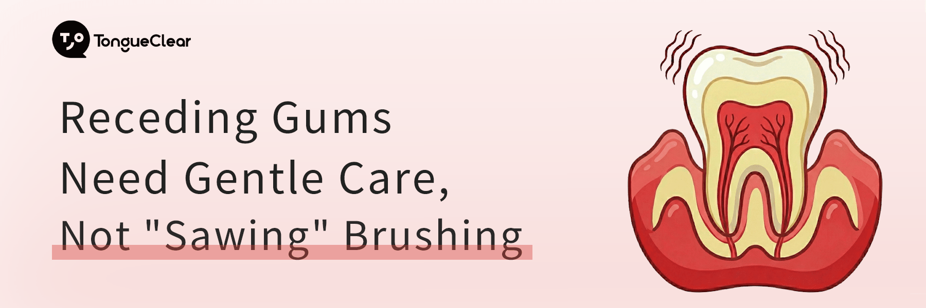 Receding Gums Need Gentle Care, Not "Sawing" Brushing